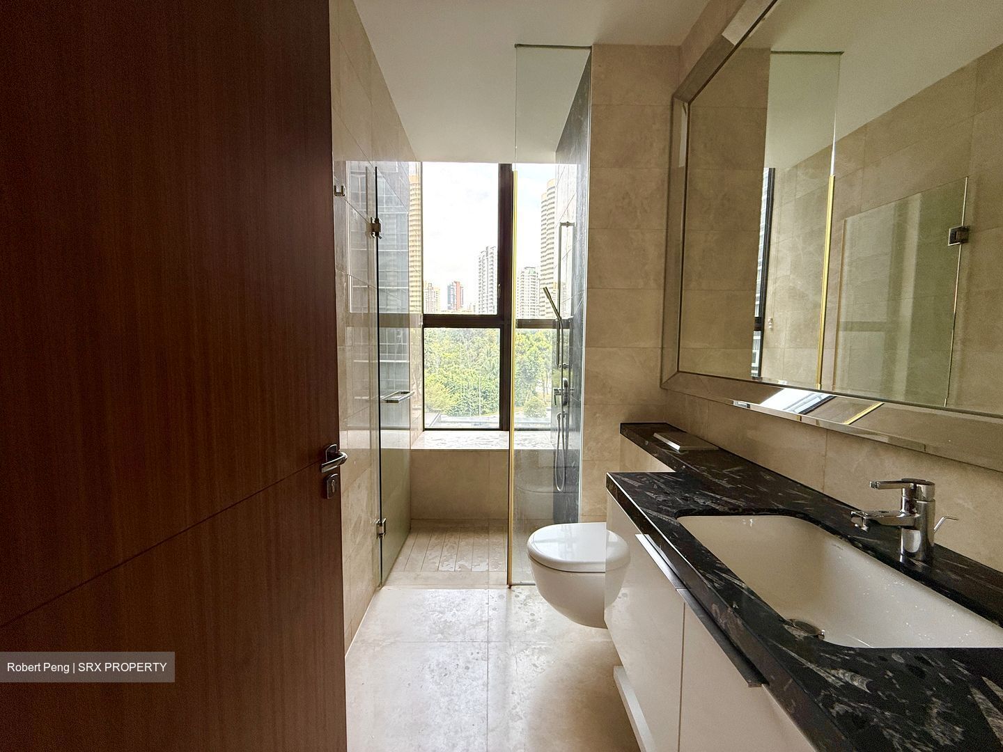 One Balmoral (D10), Condominium #548561981